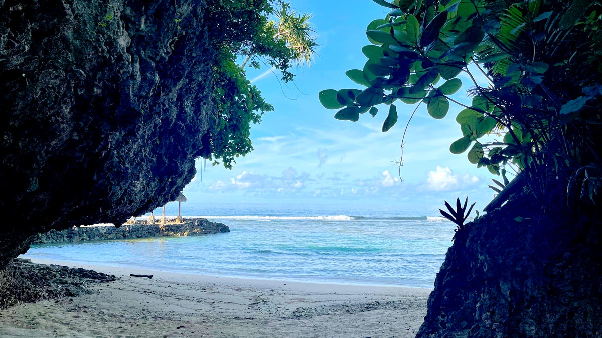 a beach with trees and rocks