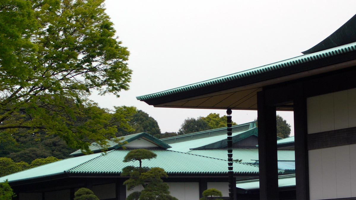 a building with a green roof