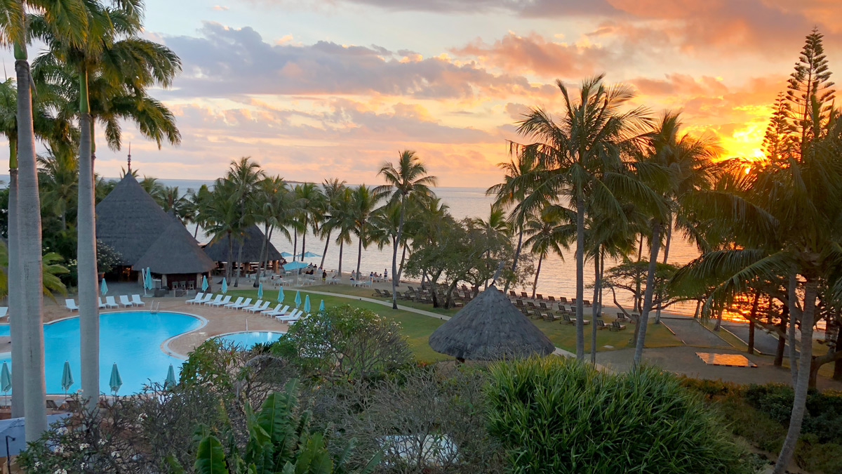 a pool and palm trees by a beach