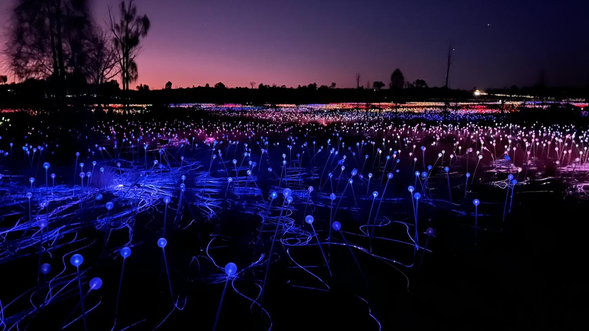 a field of glowing lights