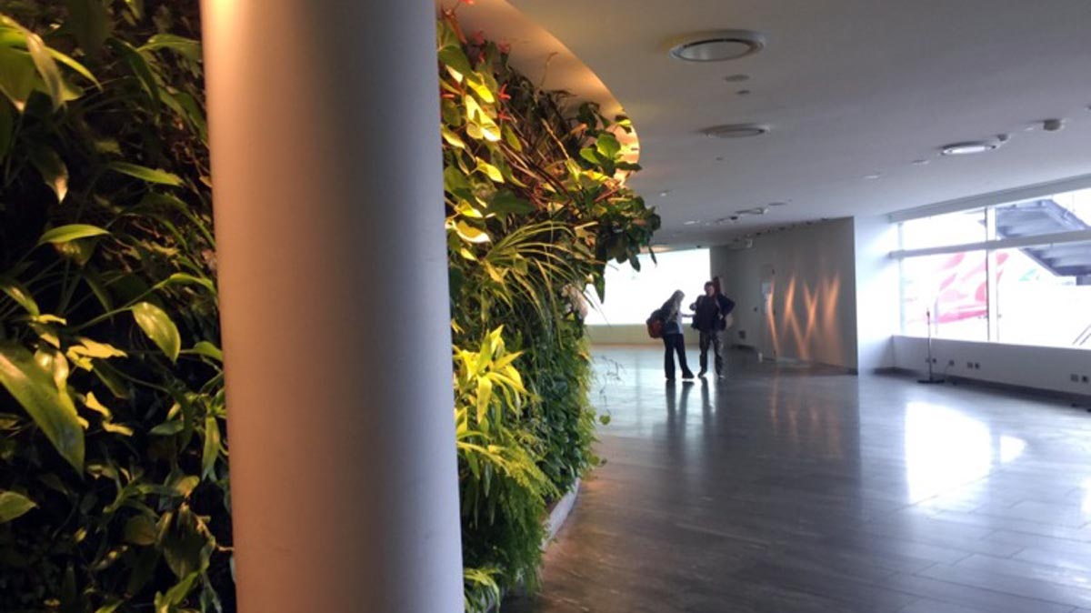 a group of people standing in a room with plants on the wall
