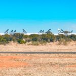 CATHAY PACIFIC: Where are their planes stored?