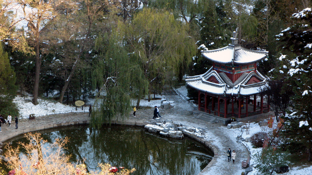 a pond with a building and trees in the background