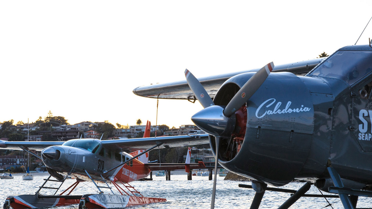 Two planes of Sydney Seaplanes, a Cessna and a de Haviland