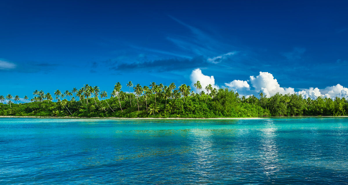 HEALTH WARNING: Dengue fever detected in the Cook Islands