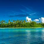 HEALTH WARNING: Dengue fever detected in the Cook Islands