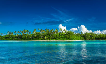 HEALTH WARNING: Dengue fever detected in the Cook Islands