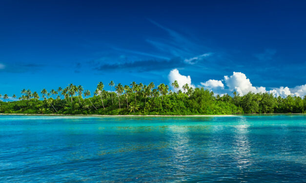 HEALTH WARNING: Dengue fever detected in the Cook Islands