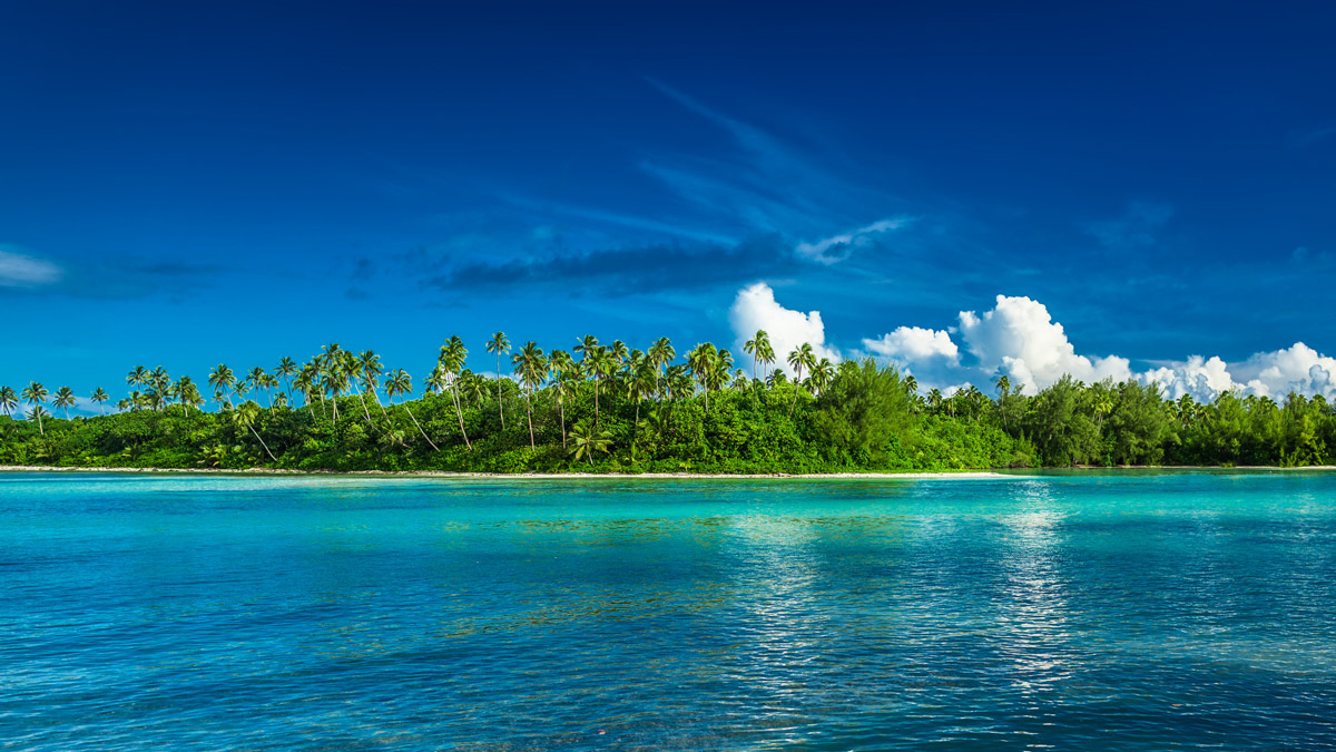 a small island with palm trees and blue water