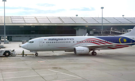 TRAGEDY: MH17 downed by Russia rules ICAO