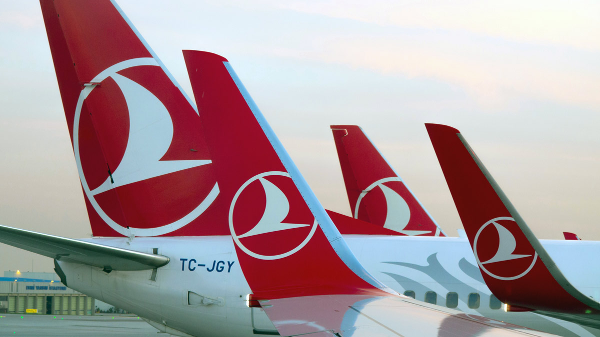 the tail fin of a plane