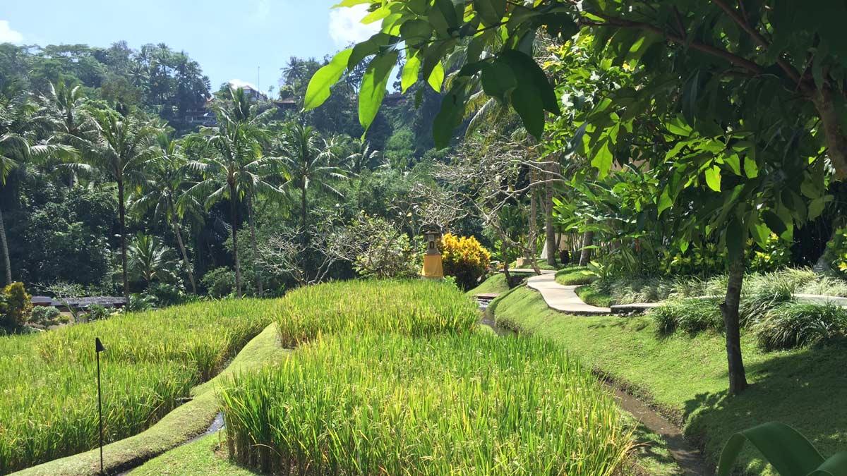 Four Seasons Resort at Sayan, Bali,Indonesia [Schuetz/2PAXfly]