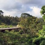 INDONESIA: Bali giveth to Australians, and taketh away from influencers