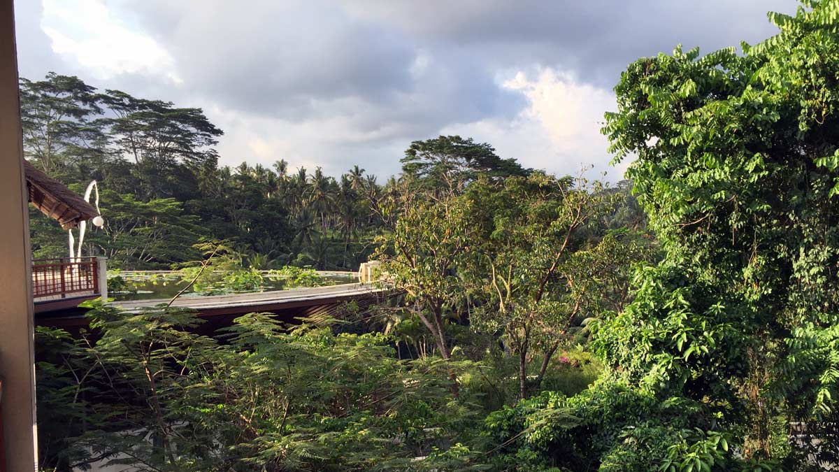 Entrance pond, Four Seasons Resort at Sayan, Bali,Indonesia [Schuetz/2PAXfly]