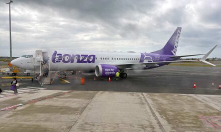 BONZA: Flights cancelled. Operations suspended. Planes repossessed?