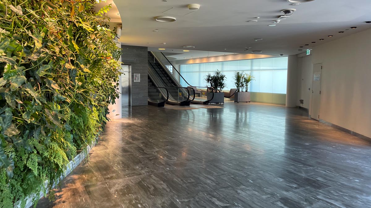 a large room with a staircase and plants