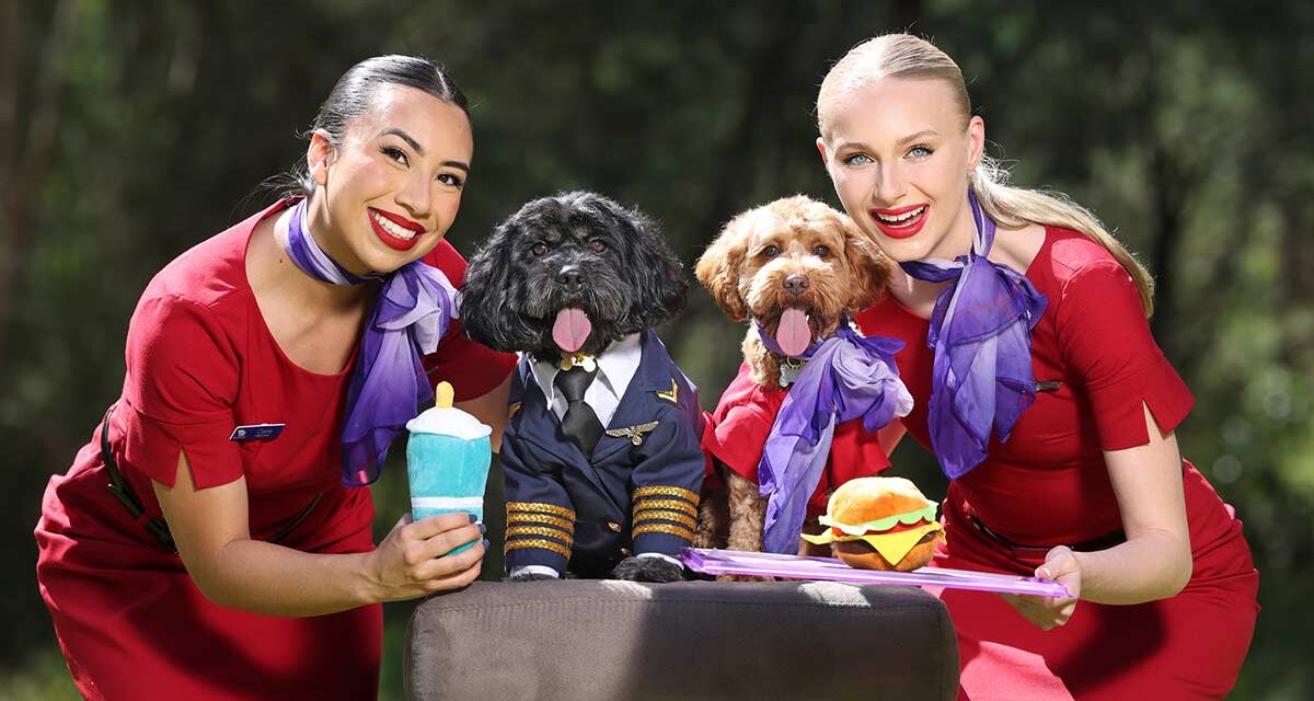 VIRGIN AUSTRALIA: On which flights are cats and dogs now welcome on board