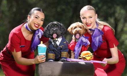 VIRGIN AUSTRALIA: On which flights are cats and dogs now welcome on board