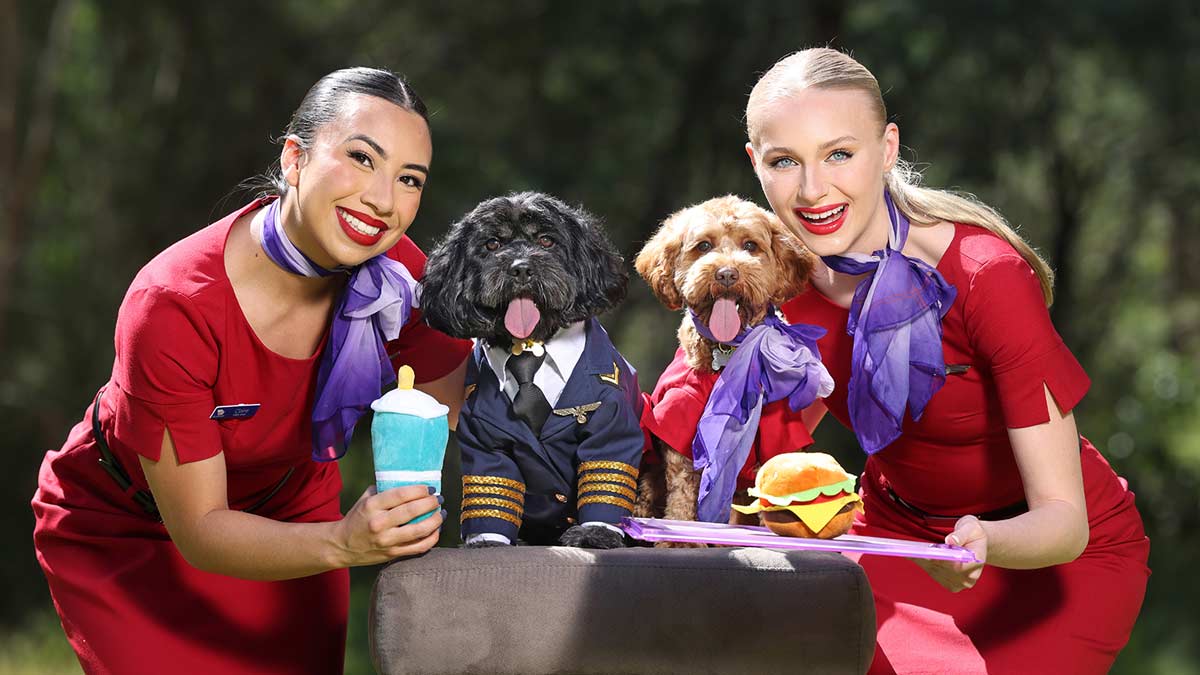 a group of women posing with dogs