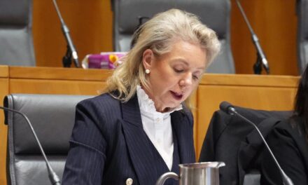 AUSTRALIA: International Airlines able to fly domestic routes — election promise from opposition