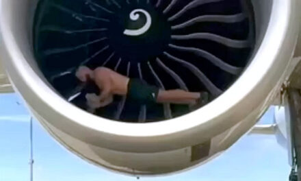 DUMB PEOPLE: Social media pre-flight pump stunt inside jet turbine now flexing in court