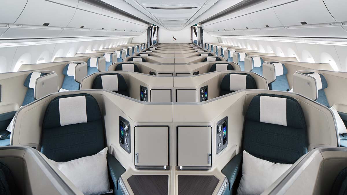 a plane with seats and a bird