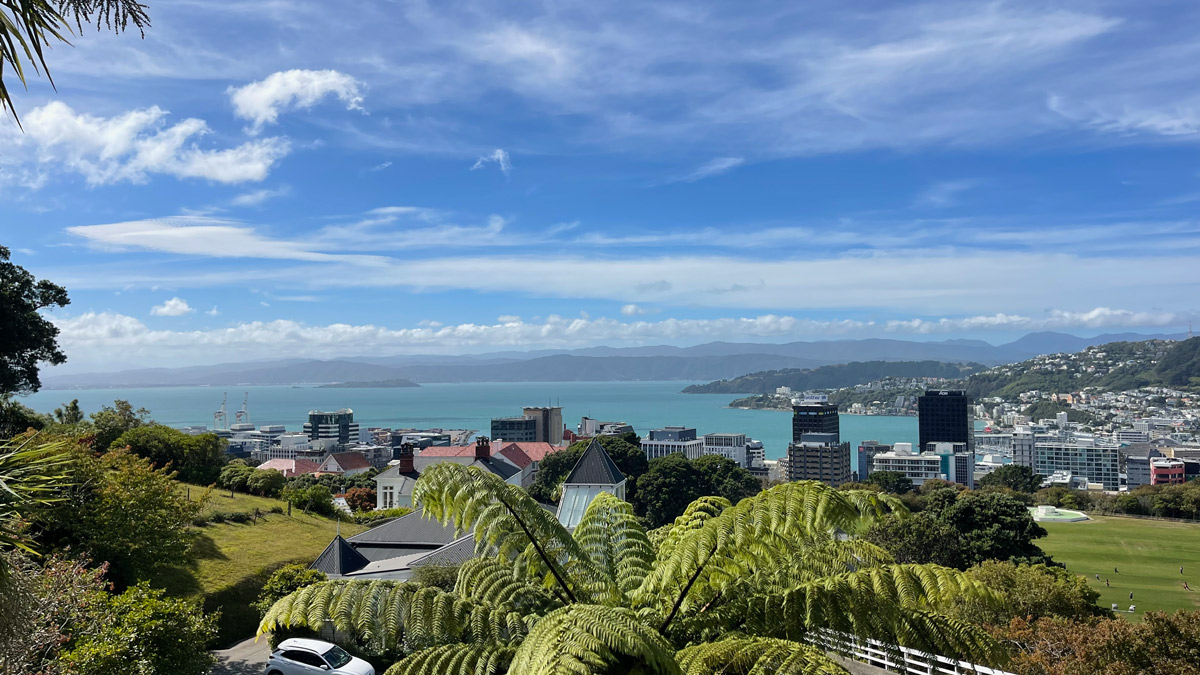 a view of a city and water from a hill