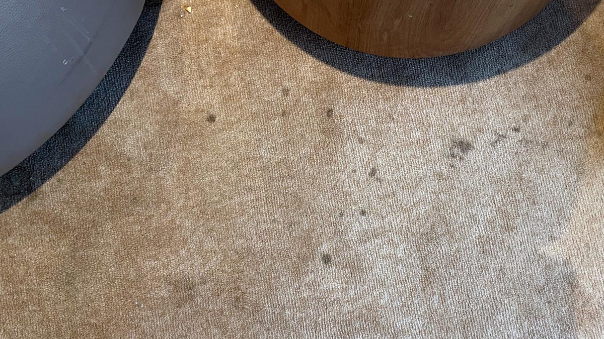 a carpet with a round object on it