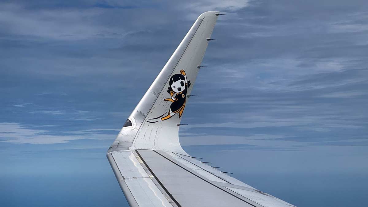 the wing of an airplane