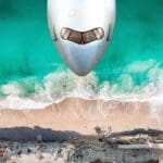 CATHAY PACIFIC: Return to servicing Hong Kong to Adelaide route three times a week for winter