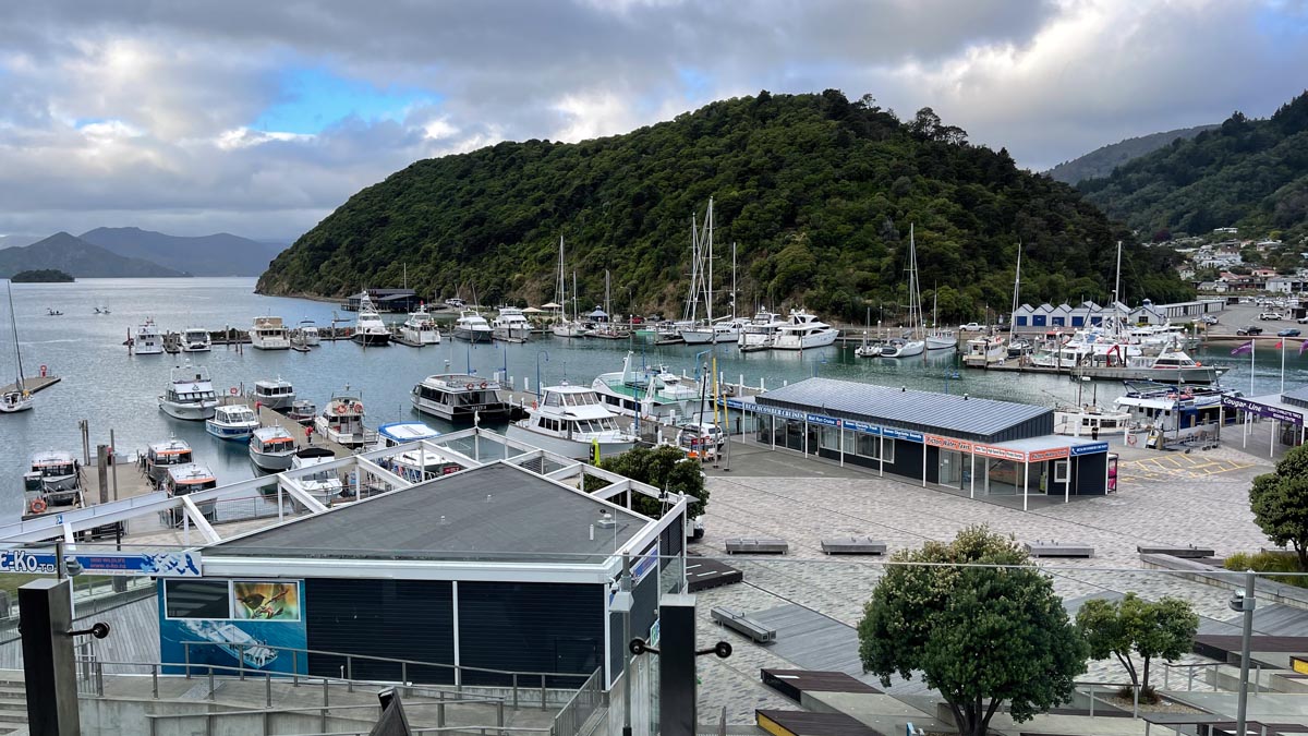 a marina with boats and a hill in the background