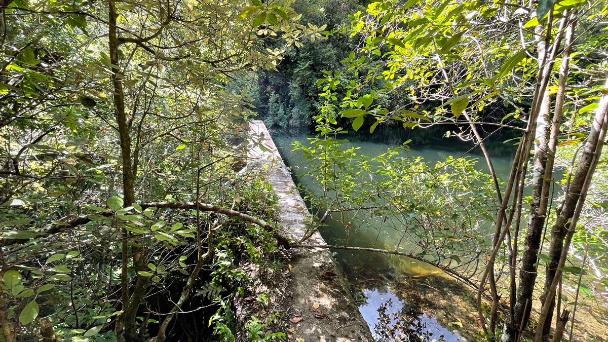 a bridge over a body of water
