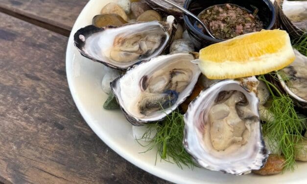 NEW ZEALAND: Top of the South Island, what we did and ate in Picton, Havelock and Blenheim