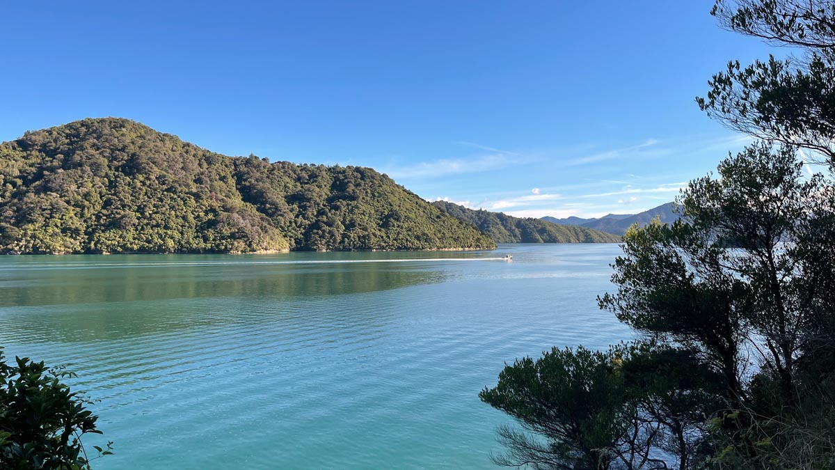 a body of water with trees and mountains in the background