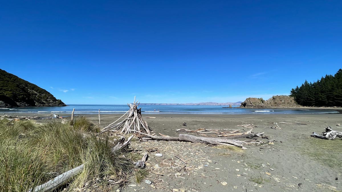 a beach with driftwood and water and mountains in the background