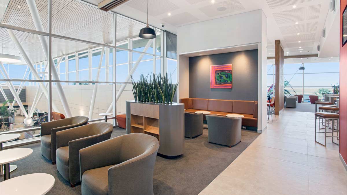 a room with a plant in front of it