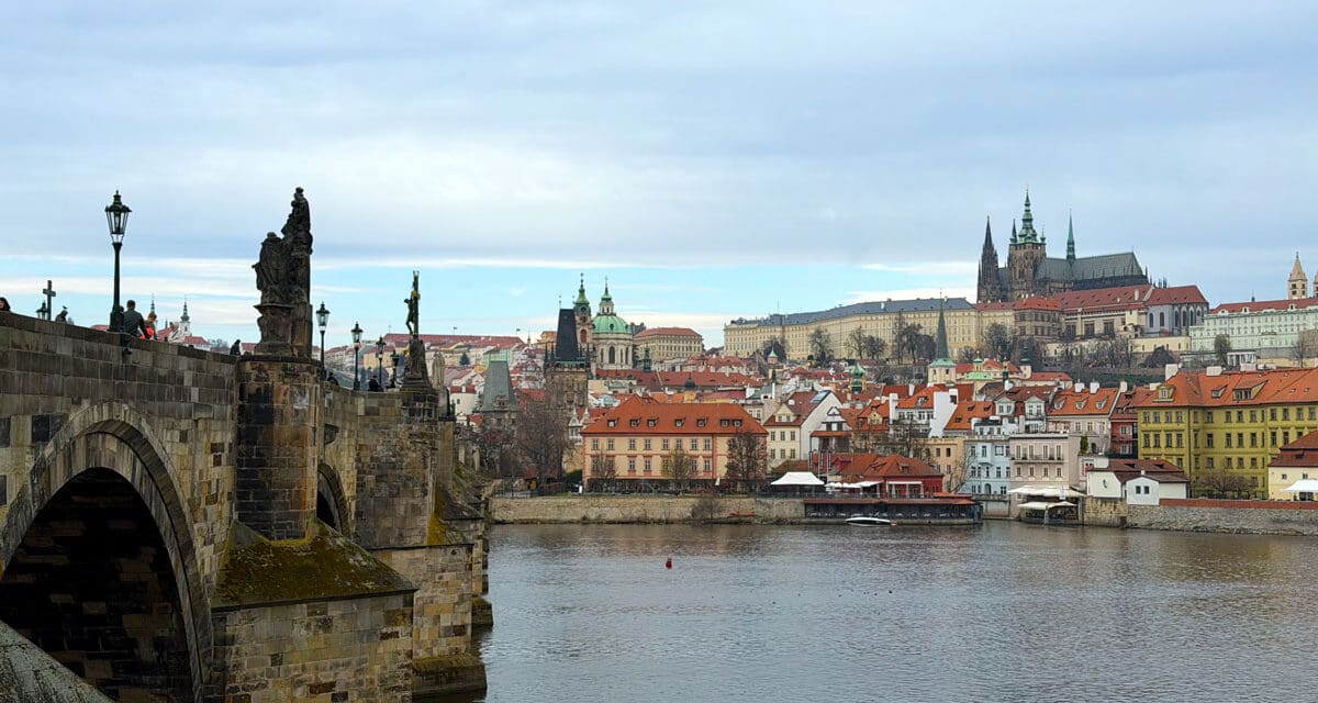 WEEKLY REVIEW: Sunday 29 March, 2026